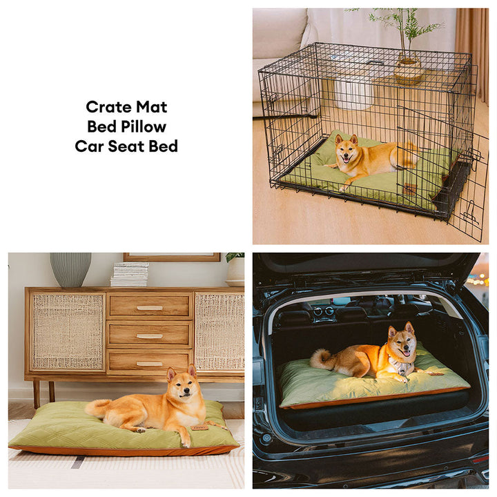 Calming dog mat in a living room setting, providing pet comfort & style