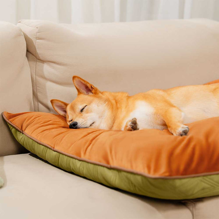 All season dog bed mat, durable and water repellent, perfect for pet relaxation