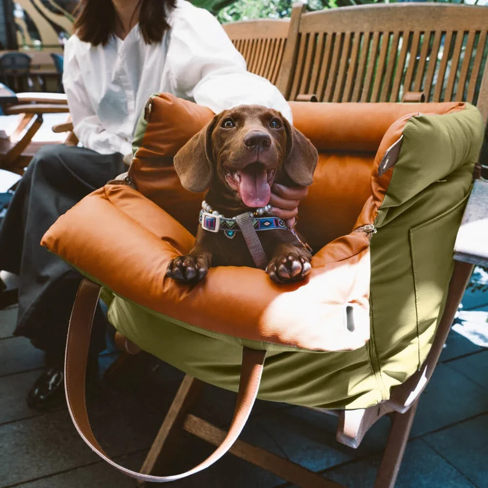 Comfortable luxury pet car seat, washable & portable, ideal for small dogs & cats during travel