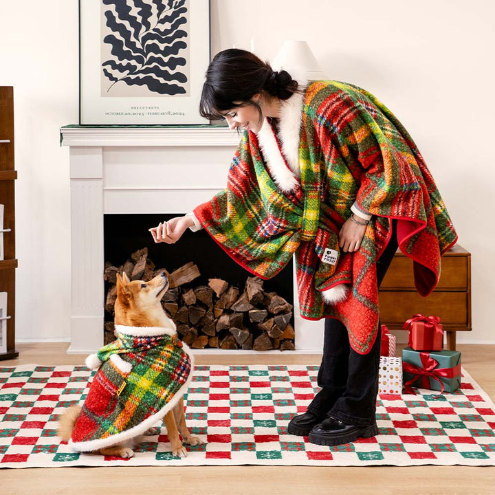 Owner and dog in matching plaid ponchos, enjoying a snowy day, warm winter apparel set.
