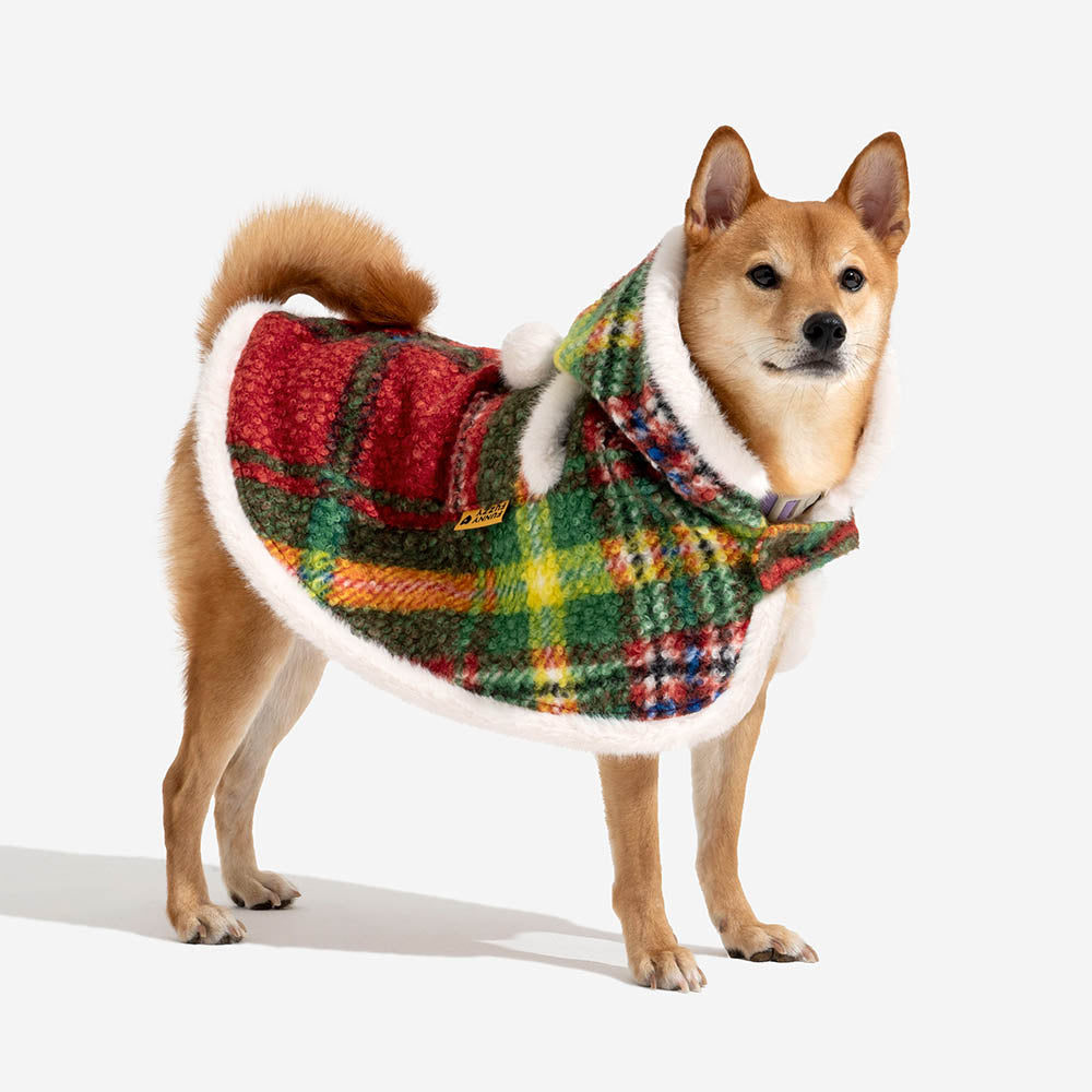 Stylish dog wearing a red and black plaid poncho, cozy pet clothing for holiday pictures.