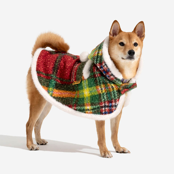Stylish dog wearing a red and black plaid poncho, cozy pet clothing for holiday pictures.