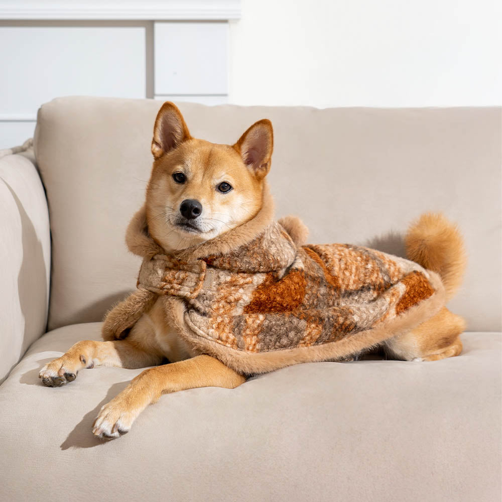 Owner and pet in matching plaid ponchos, dog apparel and human cozy fashion for cold weather.