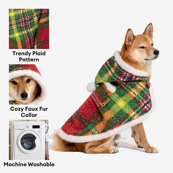 Owner and dog posing in matching plaid ponchos, festive holiday outfit dog apparel.