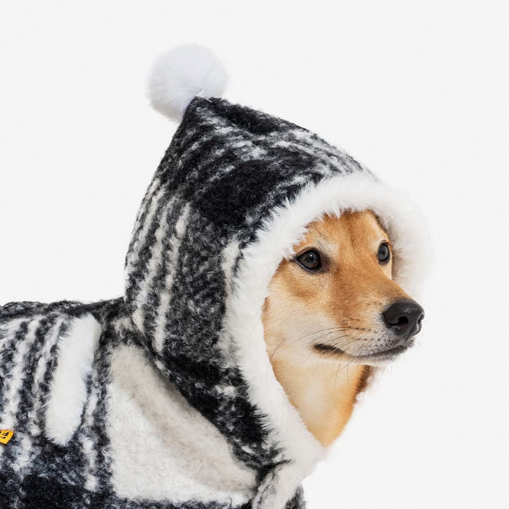 Matching plaid ponchos for a large dog and owner, ensuring comfort and warmth for all.