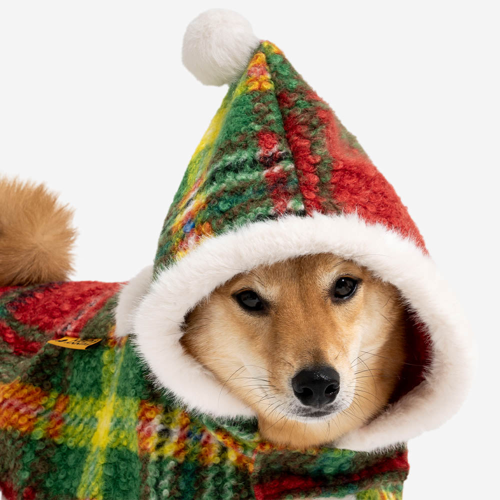 Owner hugging dog, both in matching plaid ponchos, expressing warmth and connection.