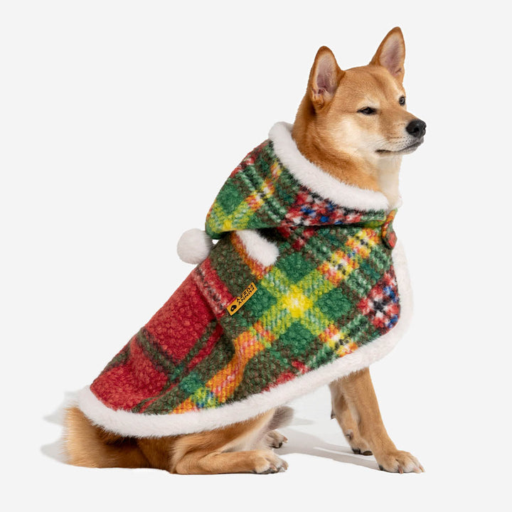 Close-up of a dog's face peeking from a red plaid poncho, cute and warm pet fashion.
