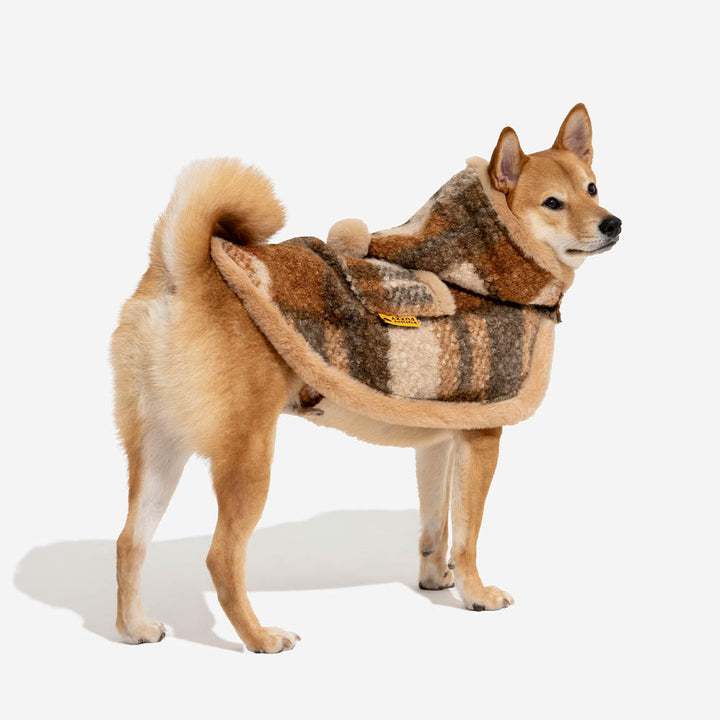 Dog model showcasing a red plaid poncho, stylish and warm pet apparel for winter.