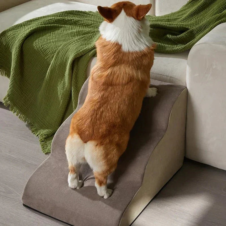 Ergonomic memory foam pet stairs for older dogs & small pets, ensuring safe, gentle ascent.