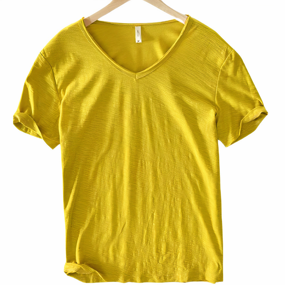 Casual men's V-neck t-shirt, a comfortable wardrobe staple for summer days.