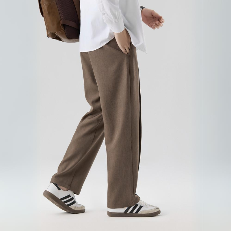 Comfortable men's pleated dress pants, relaxed fit, perfect for business attire or everyday casual.