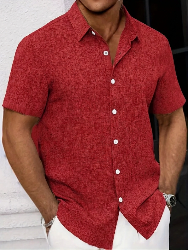 Stylish men's textured polo shirt, regular fit, button-down, short sleeve, a go-to for summer & spring fashion.