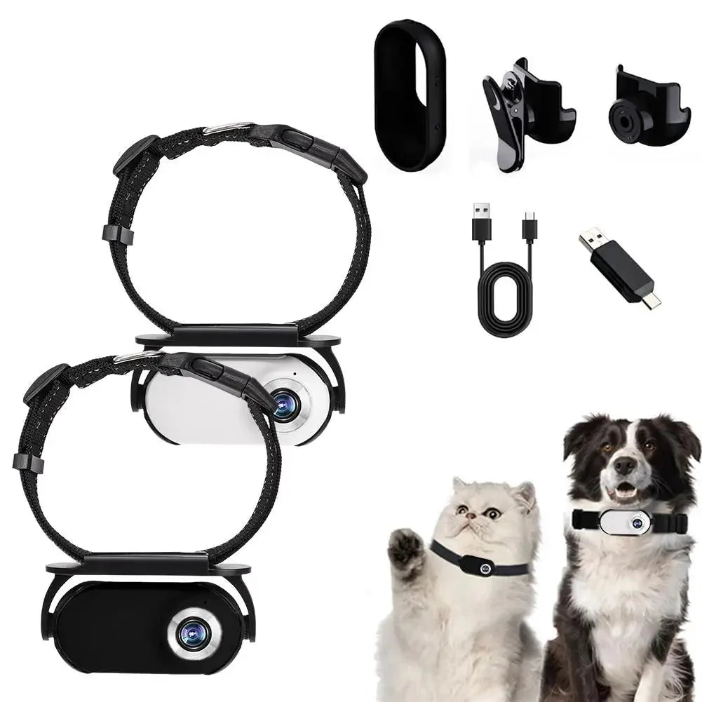 HD pet collar camera with wide-angle lens, ideal for recording dog's point of view and pet tech monitoring.