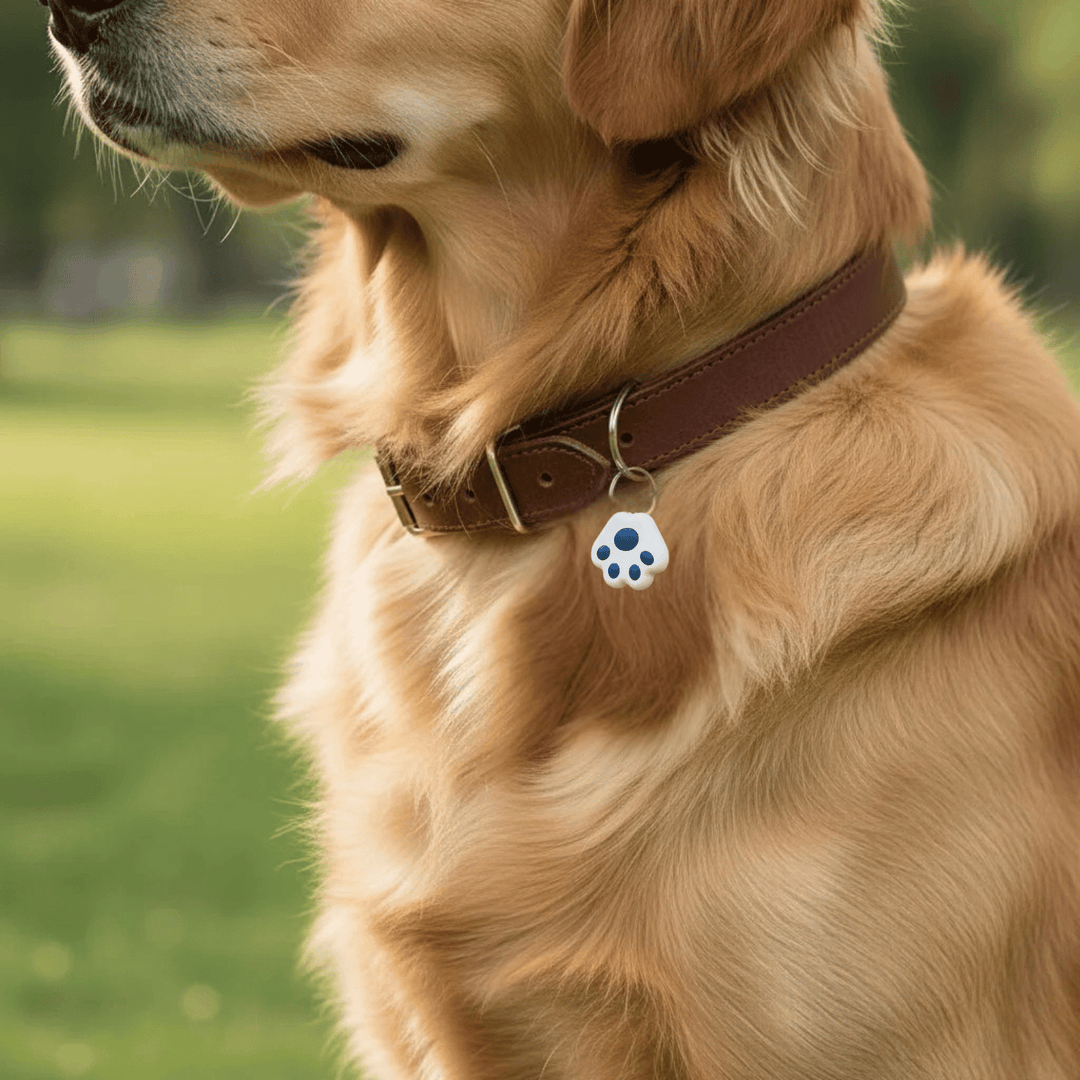 Anti-lost pet tracker, a discreet wireless device for cats and dogs with GPS capabilities.