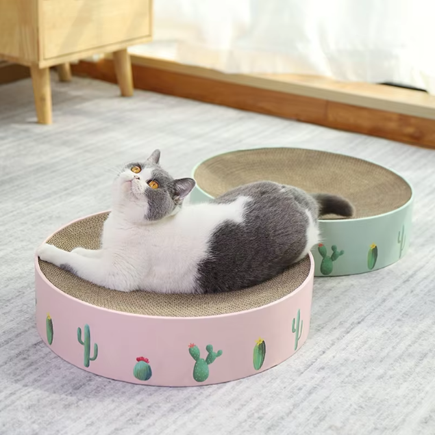 Close-up of sisal rope on a cactus cat scratcher, showing cardboard base detail for effective scratching.