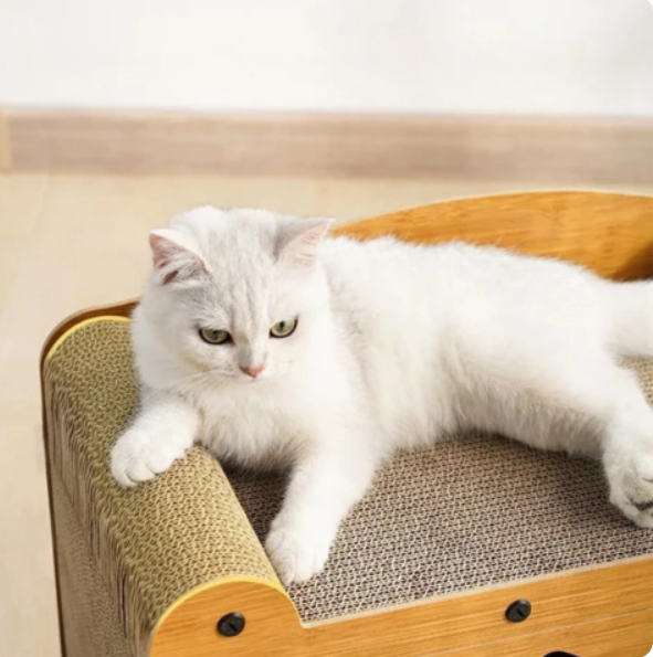 Cat bed and play area combo: multi-level cat house with durable scratching pad