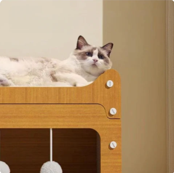 Enclosed cat house featuring a scratching surface, soft bed, and playful cutouts