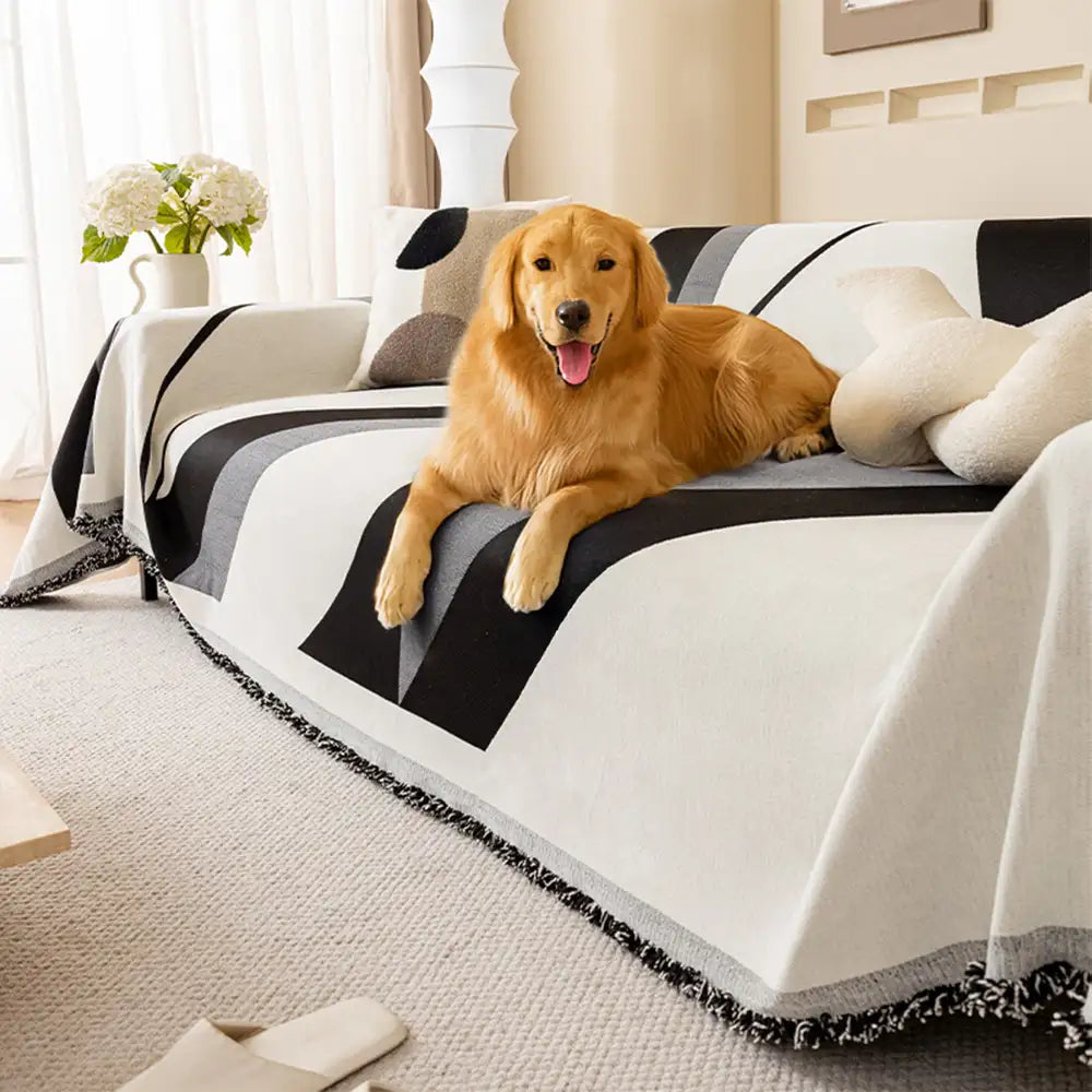 Modern chenille sofa cover, all-season, universal fit, in a living room, protecting couch from pets
