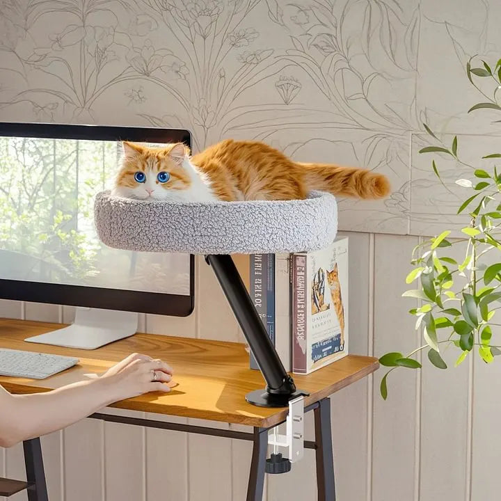 A cat's eye view from a desk-mounted bed, showing a pet enjoying their workspace cat accessory.