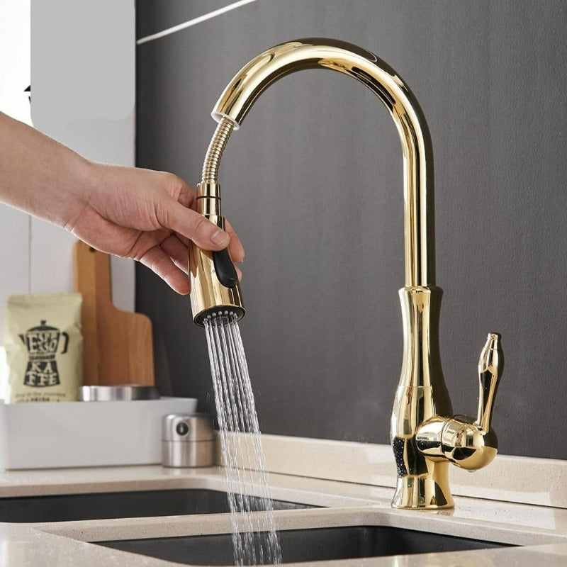 Contemporary pull-out kitchen faucet, perfect for modern kitchen sink home improvement. Black finish option.