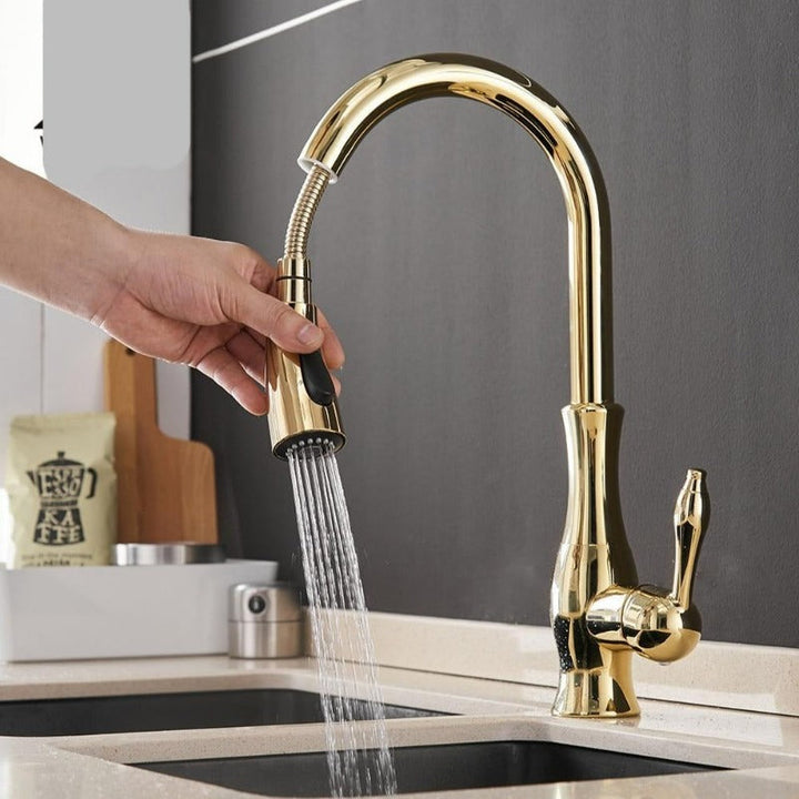Contemporary pull-out kitchen faucet, perfect for modern kitchen sink home improvement. Black finish option.