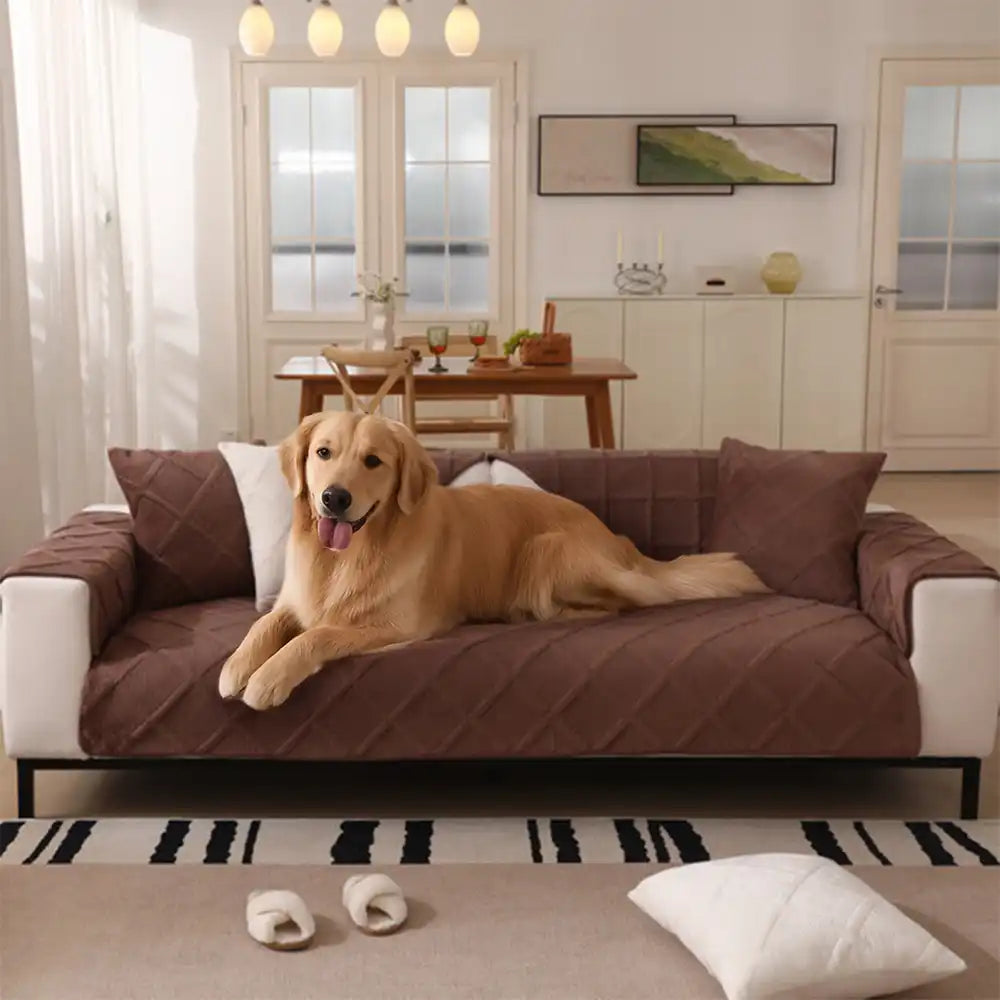 Close-up of velvety soft plush couch cover texture, ideal for modern home furniture protection