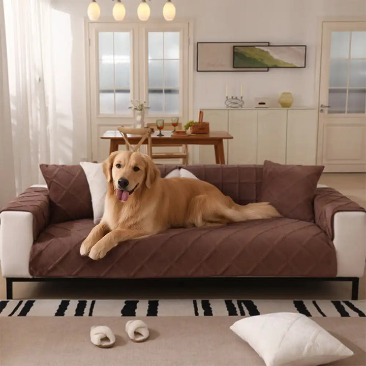 Close-up of velvety soft plush couch cover texture, ideal for modern home furniture protection