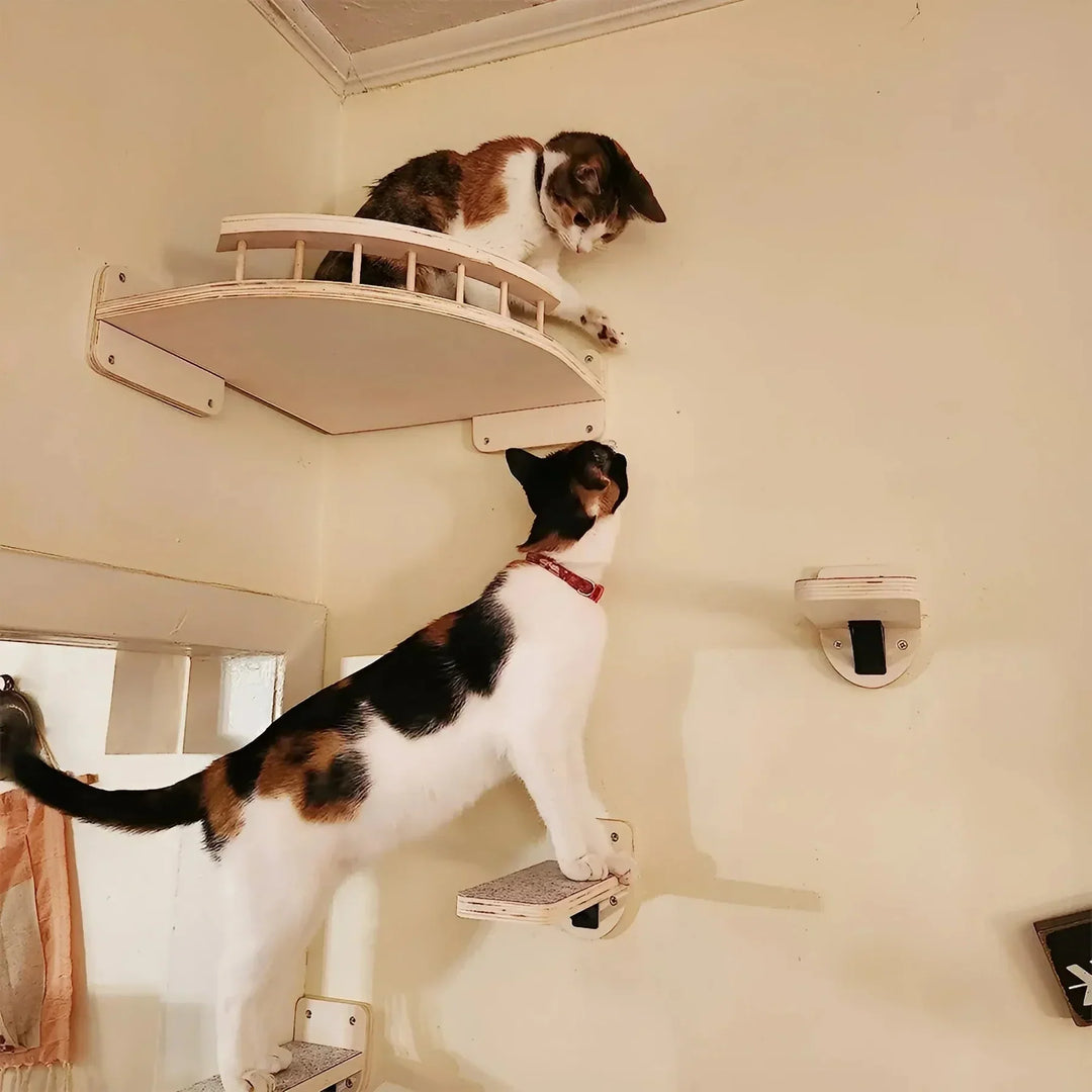 Customizable cat wall furniture featuring a cozy perch, sisal scratching post, and climbing steps for feline enrichment.