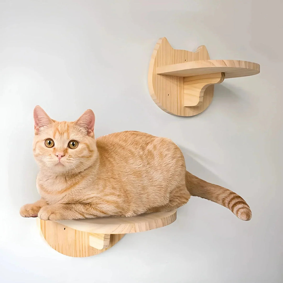 Wall-mounted cat tree system with durable wooden shelves and integrated scratching pads, designed for active cats.