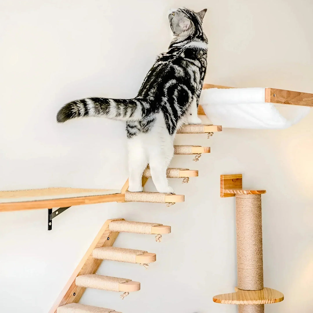 Interactive cat activity hub installed on a wall, offering climbing, scratching, and lounging areas for pets.
