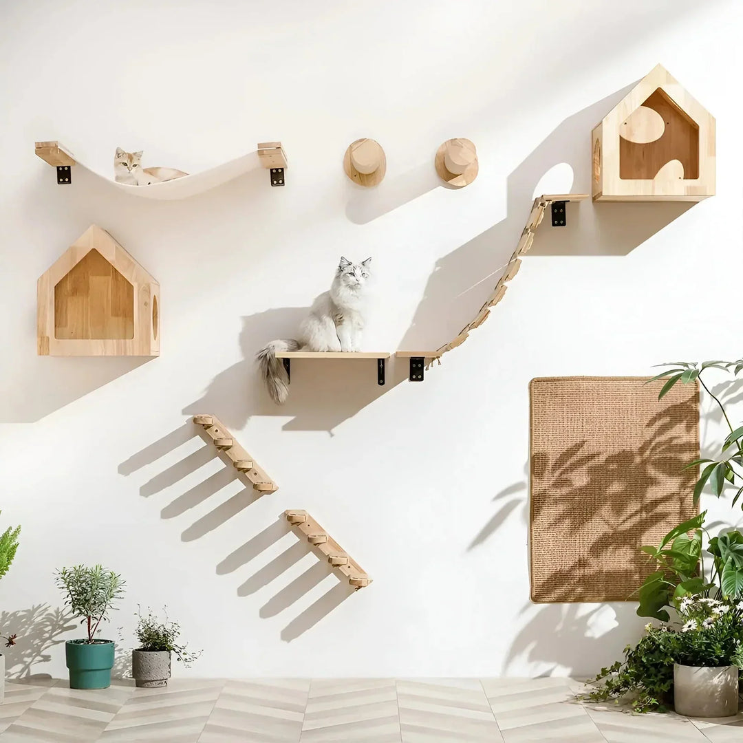 Sleek cat wall shelves and scratching posts creating an elevated play space, perfect for small apartments.