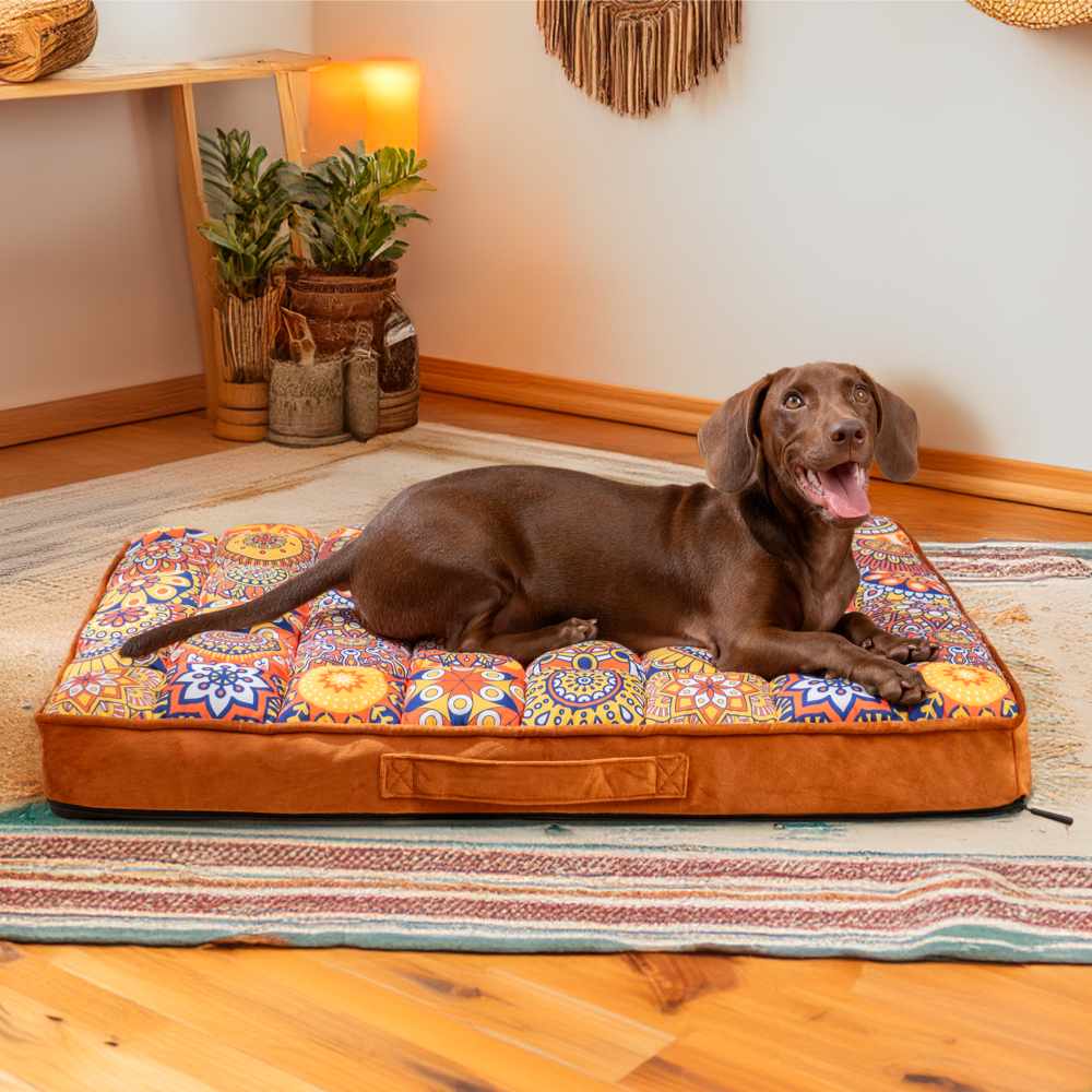 Elegant Moroccan dog bed with a thick, supportive orthopedic mattress and anti-slip bottom