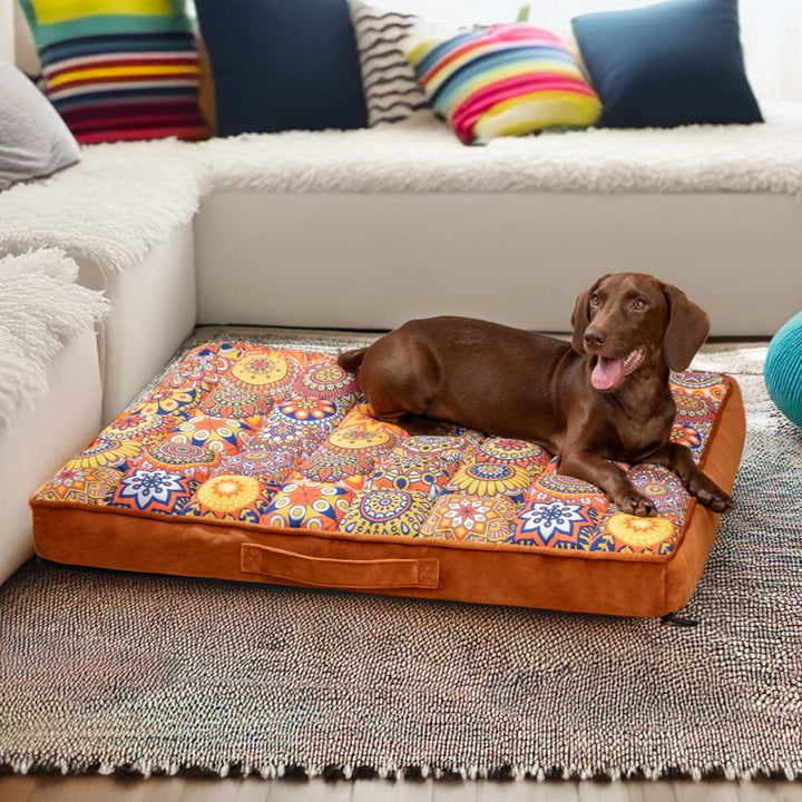 Soft Moroccan orthopedic dog bed with a robust thick cushion, perfect pet furniture for relaxation