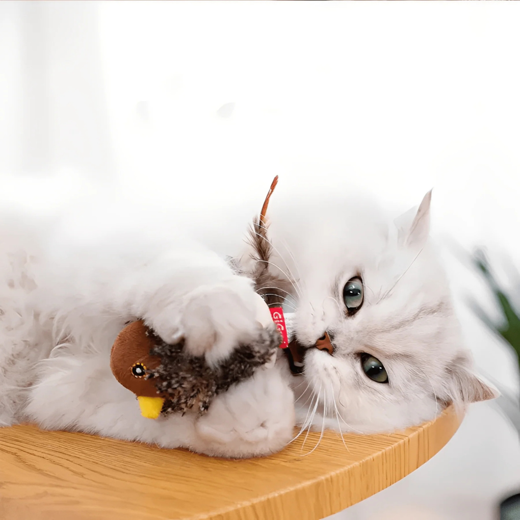 Pet supplies: interactive cat wand toy, great for feline playtime and enrichment with keywords