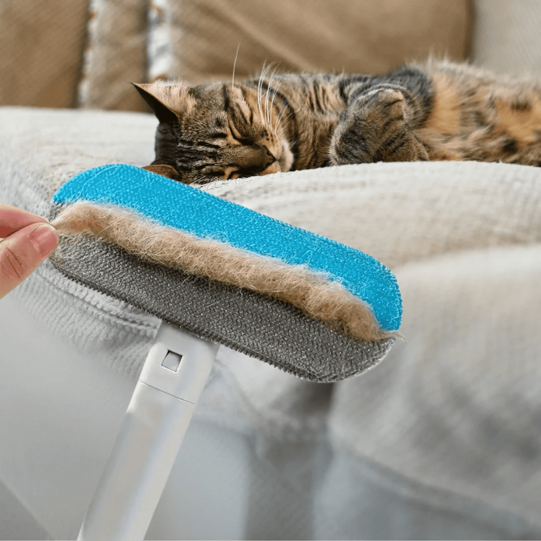 Reusable pet hair removal brush with easy-grip handle, perfect for cleaning pet hair from fabrics