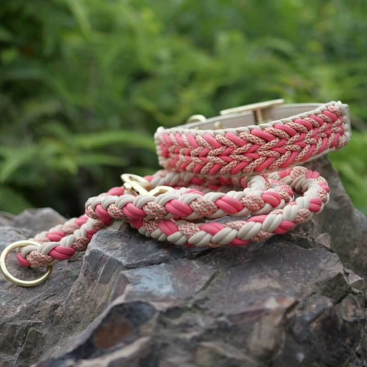 Studio shot of anti-pull dog collar & leash set, highlighting natural leather & hemp rope materials