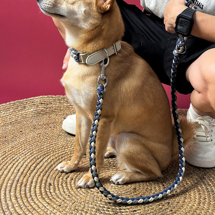 Close-up of anti-pull dog collar, durable hand-woven leather & hemp rope for effective dog training