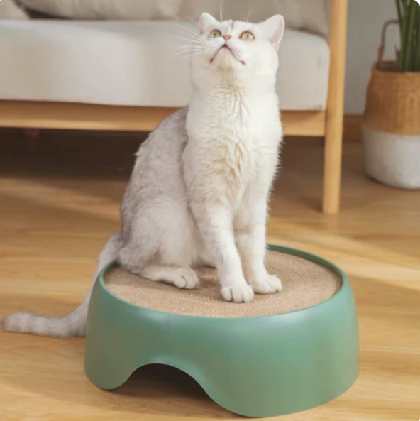 Stylish cat accessory: a round, two-tiered cat bed with an exposed sisal scratching surface and a snug cushion