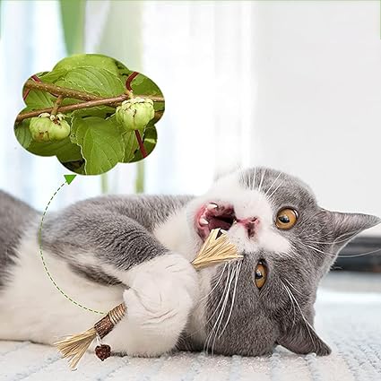 Natural cat dental chew stick helps clean teeth, promotes fresh breath & oral hygiene for cats
