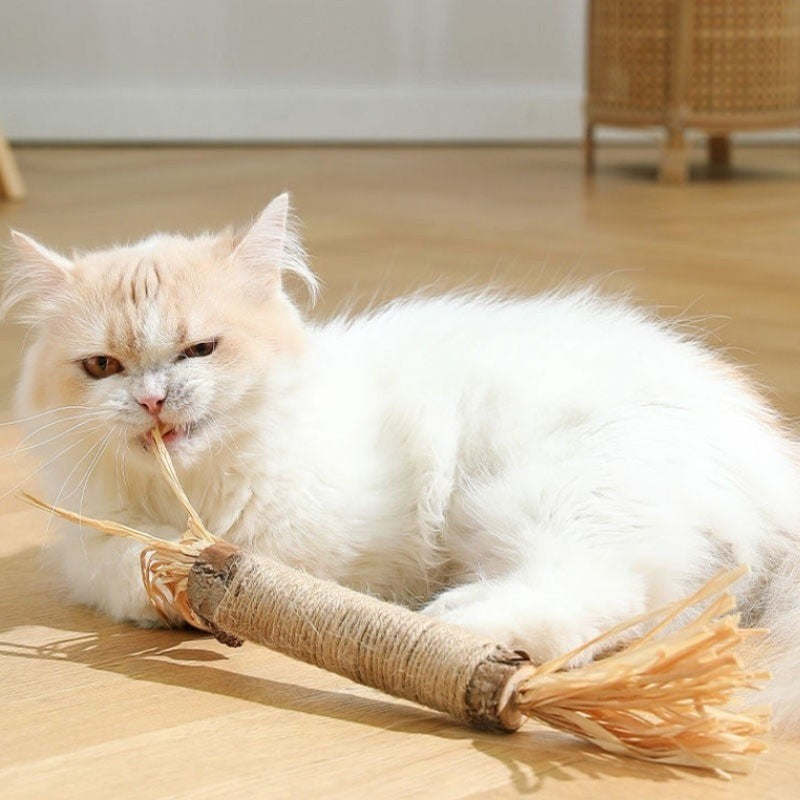 Two natural cat dental sticks, ideal pet toys for healthy teeth and fresh breath in cats