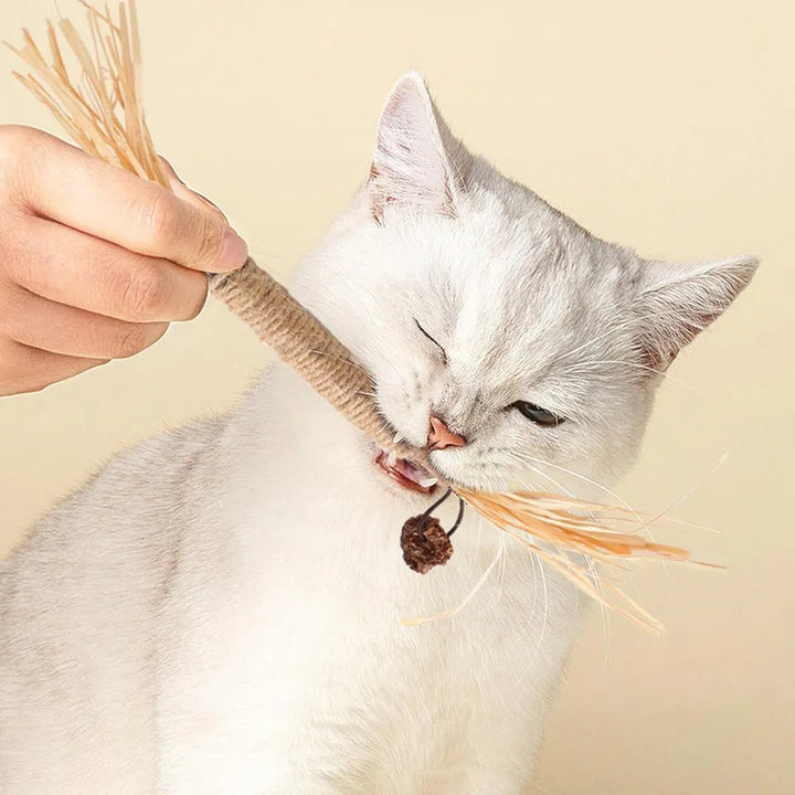 Cat happily chewing a natural dental stick, promoting dental care and oral hygiene for felines
