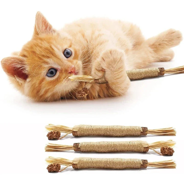 Eco-friendly natural cat dental stick, a pet health solution for teeth cleaning and fresh breath