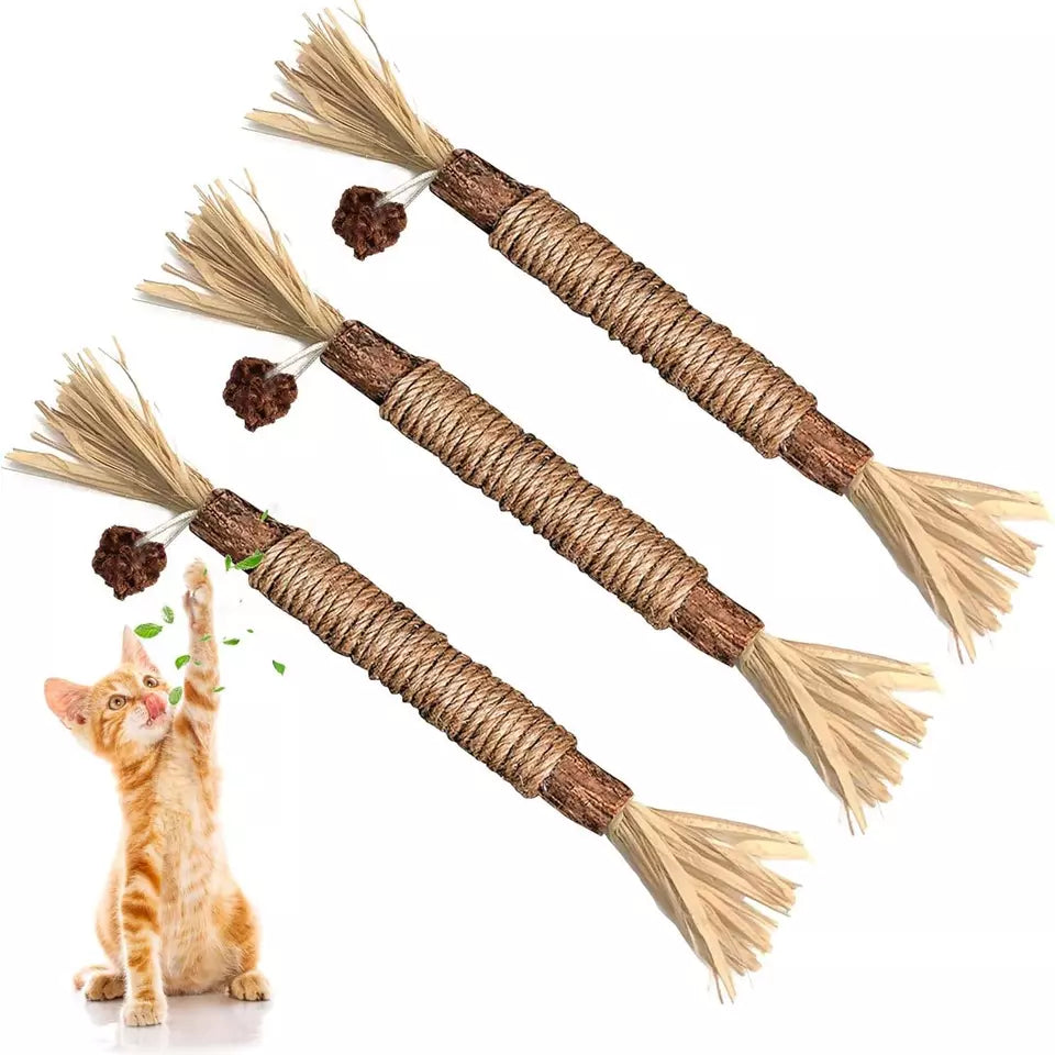 Assortment of natural cat chew sticks designed for teeth cleaning, oral hygiene, and fresh breath