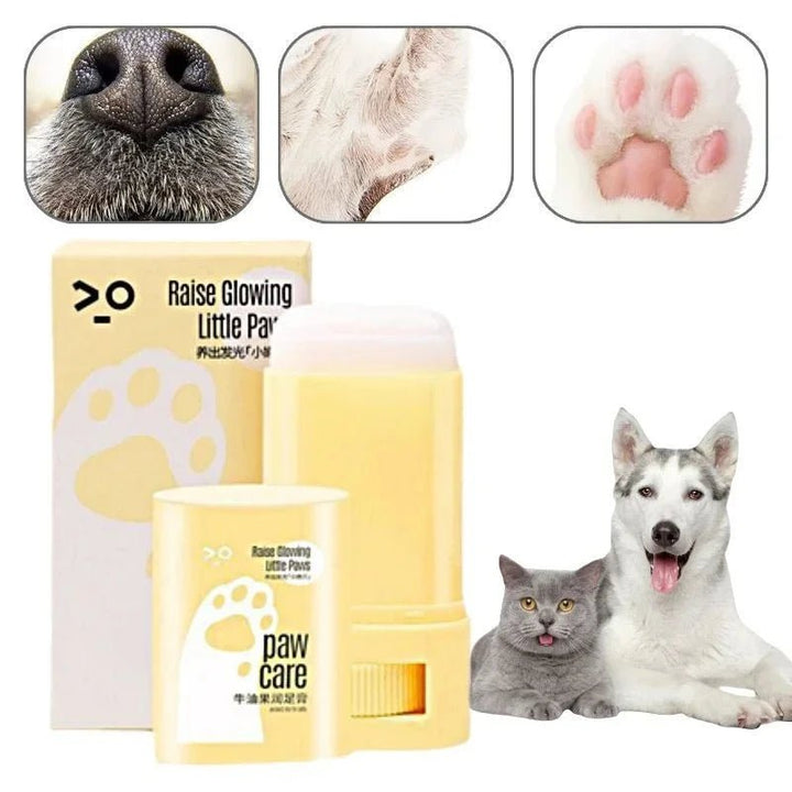 Close-up of natural dog paw balm application to a dog's dry paw, showing skin soothing pet care