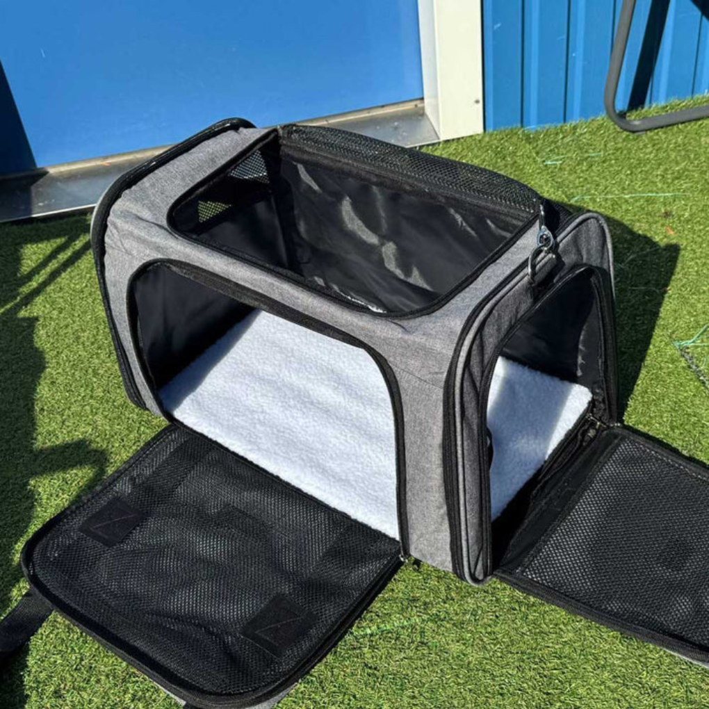 Small pet carrier with mesh windows for ventilation, perfect for dog and cat travel under seat.