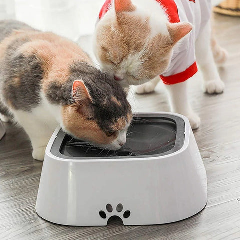 Secure no-spill pet waterer, ideal for active dogs and long journeys