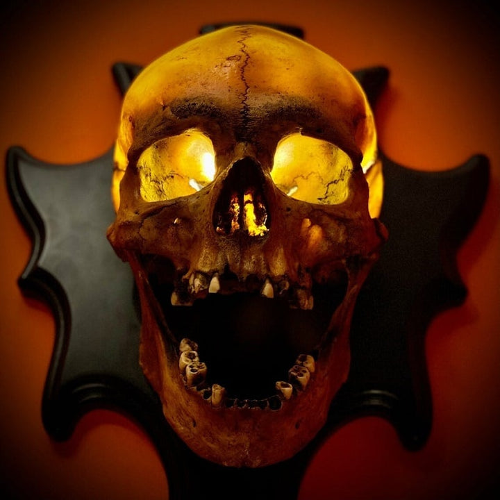 Full view of the Nocturiskull Eerie Wall Mounted Skull Lamp. A striking resin wall light for gothic & Halloween decor.