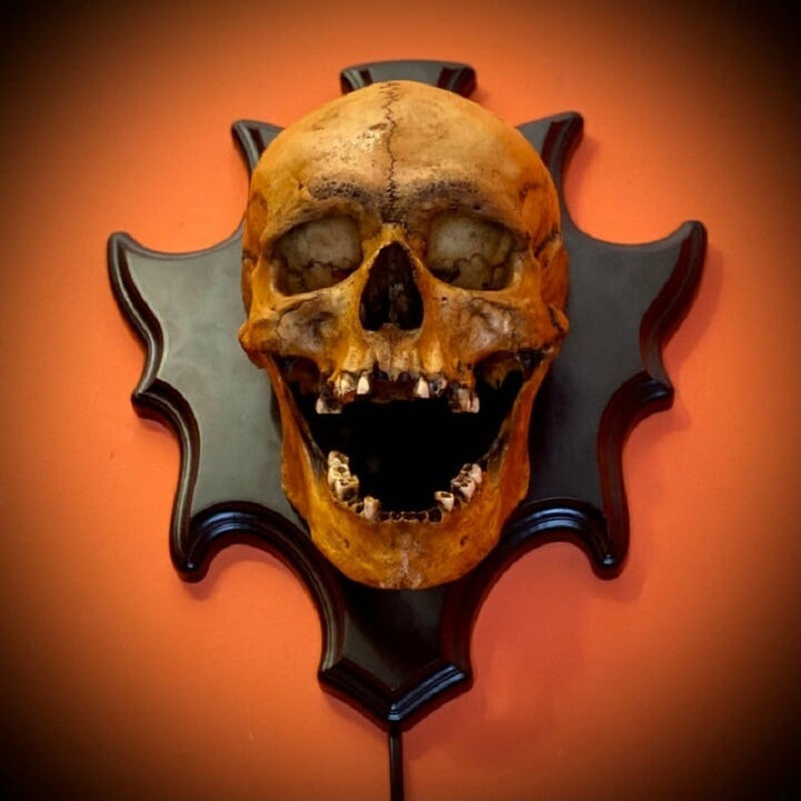 Unique resin skull wall lamp, Nocturiskull. Adds eerie lighting & spooky ambiance to any gothic or Halloween setting.