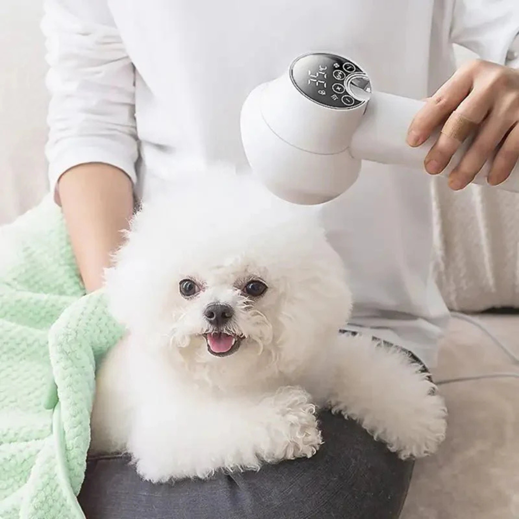 Noko pet grooming tool: new 2-in-1 quiet dryer and brush for easily drying and brushing pets.