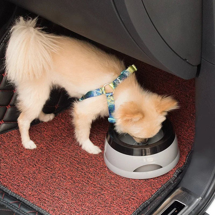 Hygienic anti-spill dog and cat bowl, durable and non-slip for mess-free travel and pet hydration